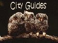 North American City Guides