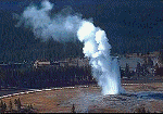 Scenes of Yellowstone © Copyright Page Makers, LLC